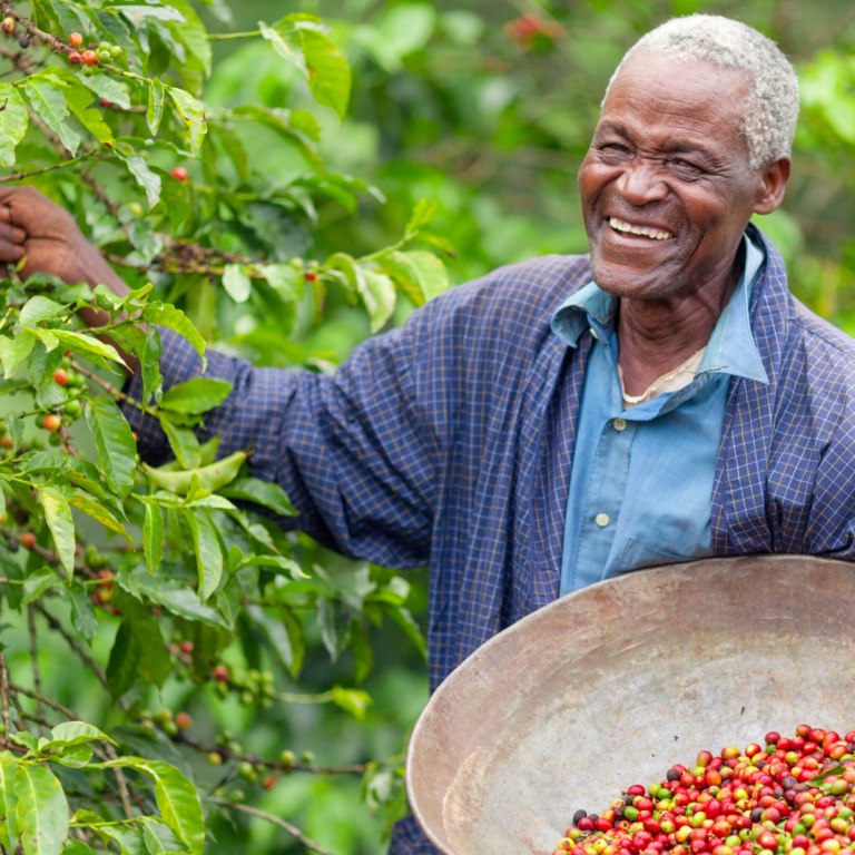 Aafrika farmer korjamas kohviube, fair trade logo ja silt