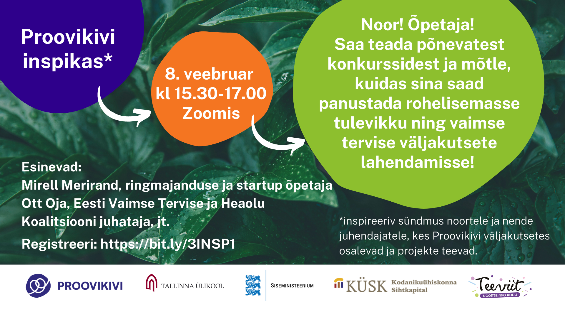 Proovikivi inspikas FB